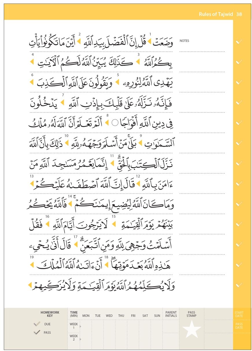 Rules of Tajwid (Madinah Script) – Safar Learn to Read Series