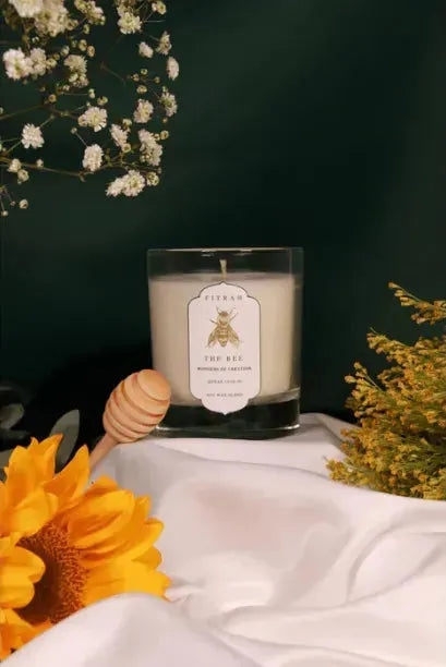 Fitrah The Bee - Wonders Of Creation (Candle) book cover