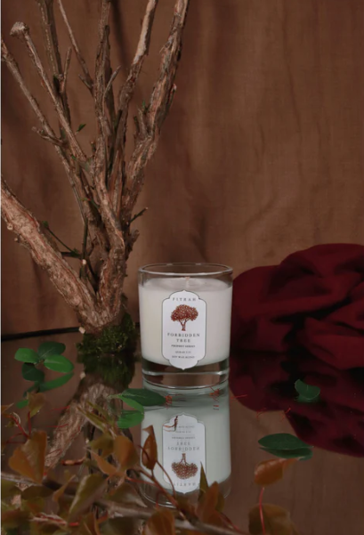 Fitrah Forbidden Tree - Prophet Series (Candle)