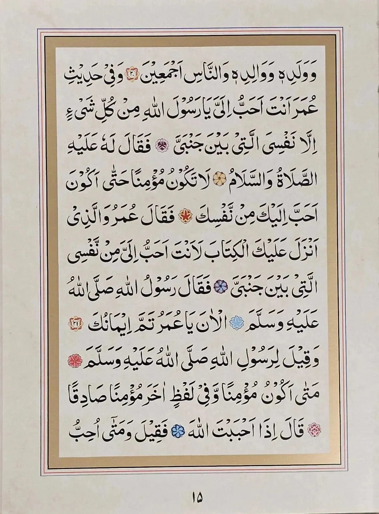 Dalail al Khayrat- Compact Edition (Mughlay Script): Arabic Only book cover