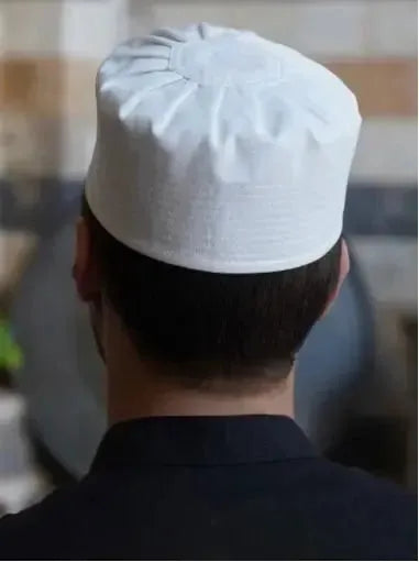 Pleated Hat book cover