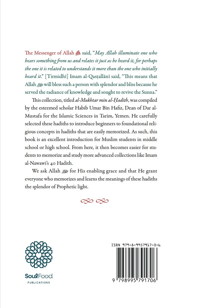 Prophetic Wisdom: Hadiths for Beginners back cover with publisher summary and ISBN