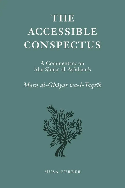The Accessible Conspectus by Abu Shuja al-Isfahani book cover