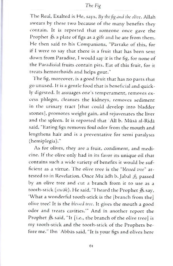 The Opening and Other Meccan Revelations : Selections from al-Bahar al-Madid