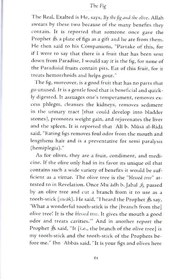 The Opening and Other Meccan Revelations : Selections from al-Bahar al-Madid