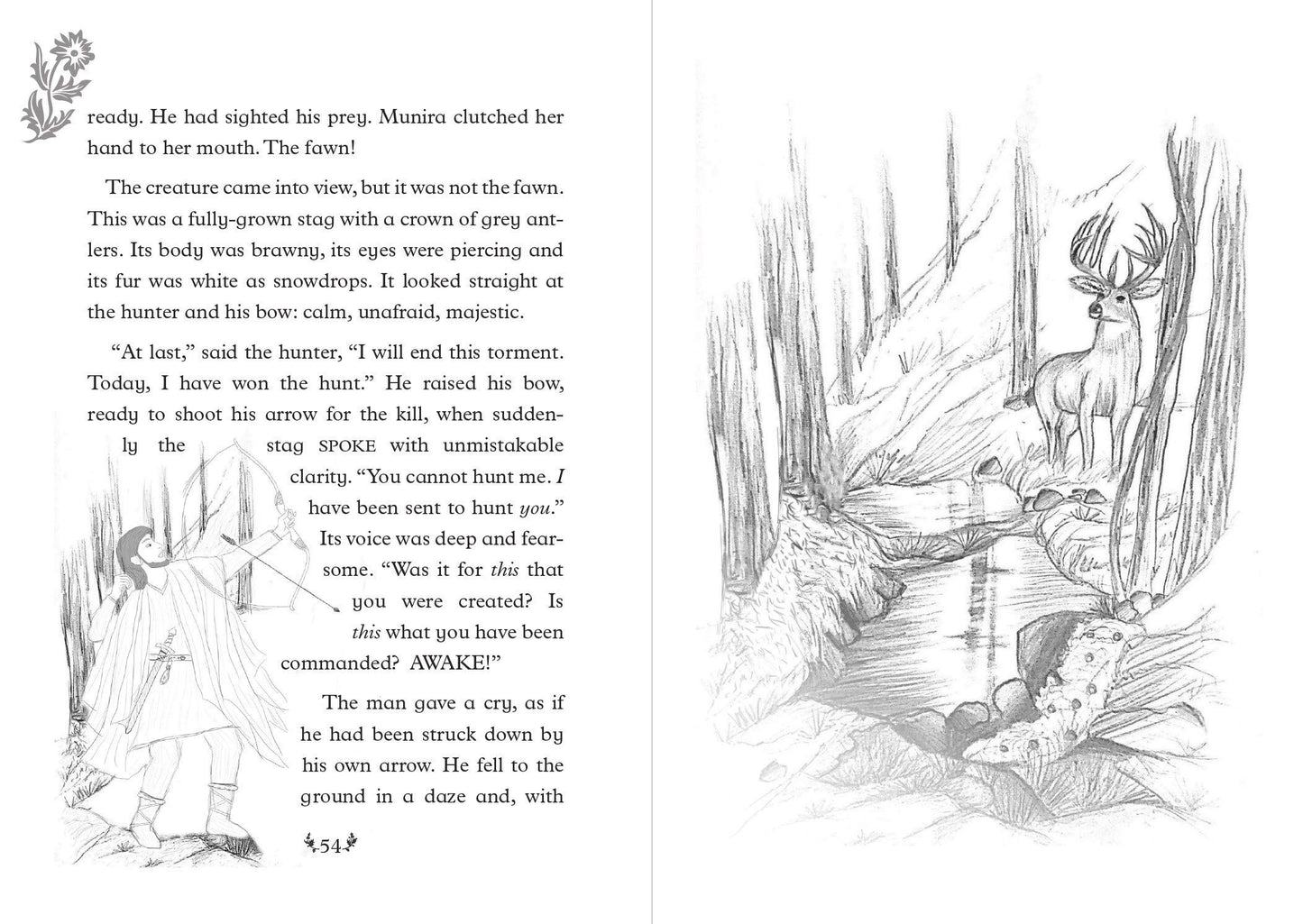 Beyond the Forest, Adventures with the Awliya Book 1