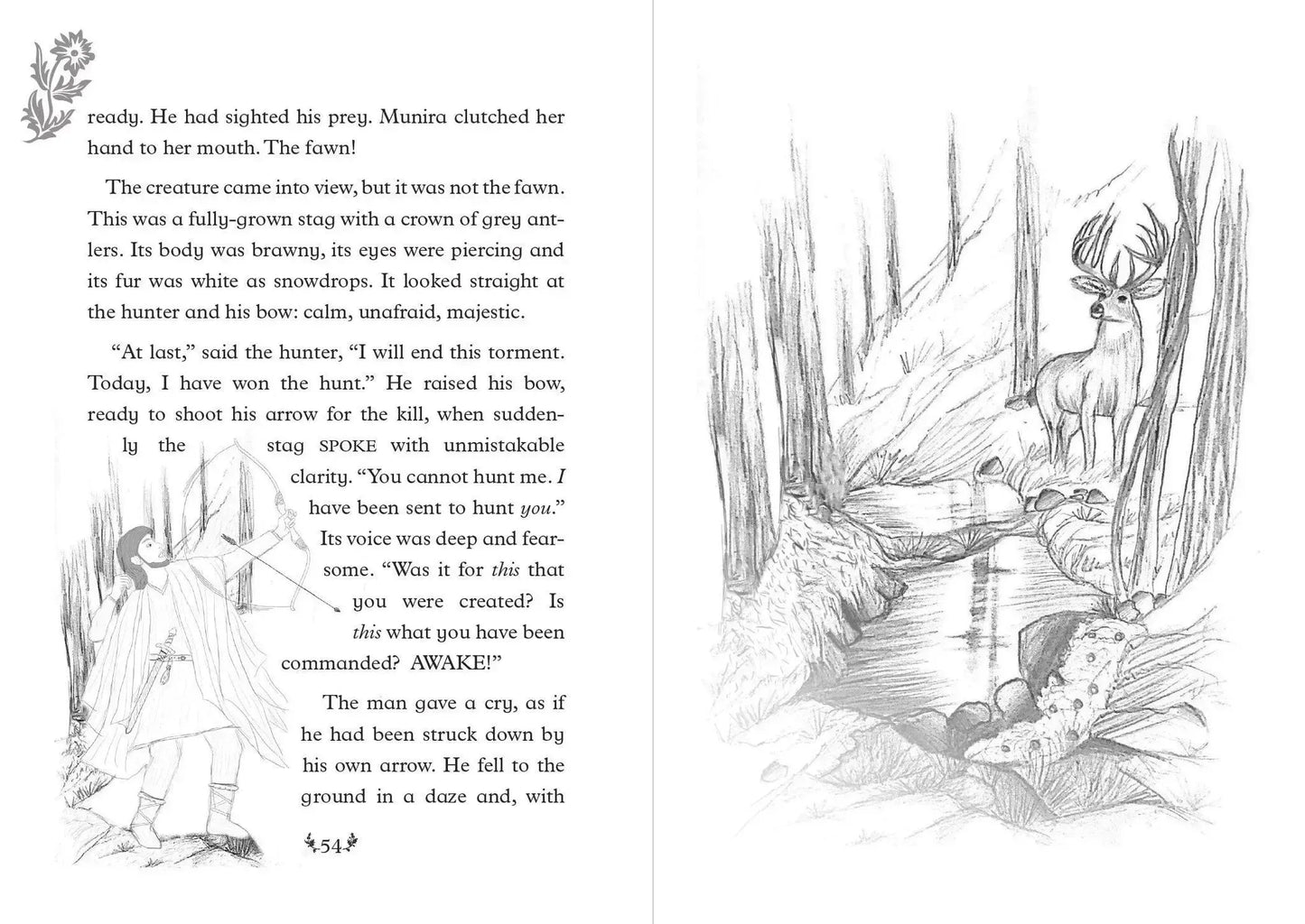 Beyond the Forest, Adventures with the Awliya Book 1