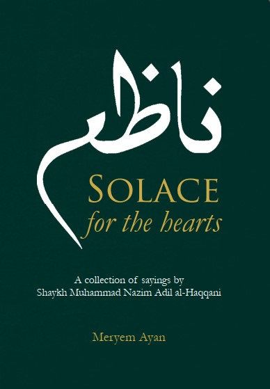 Solace for the Hearts