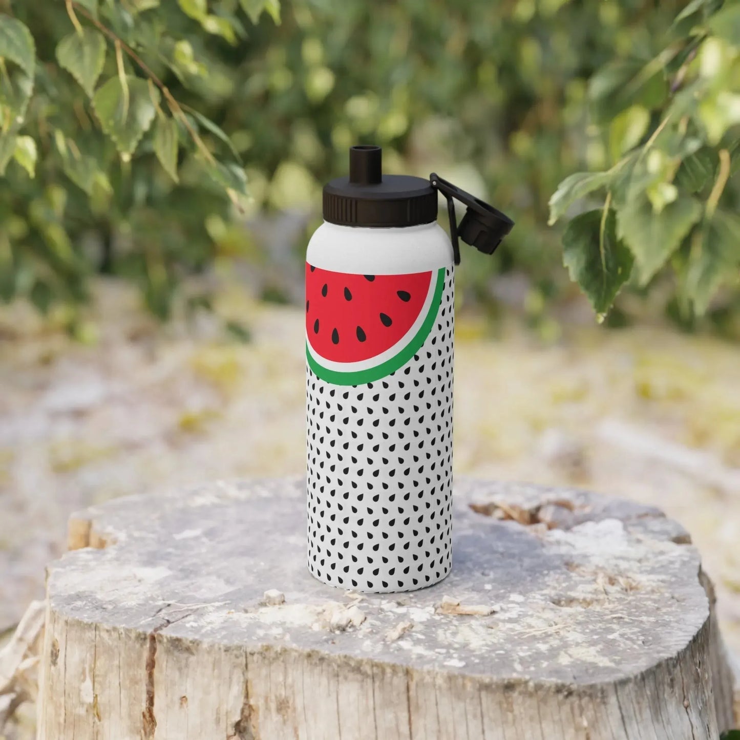 Watermelon Stylish Stainless Steel Water Bottle with Sports Lid book cover
