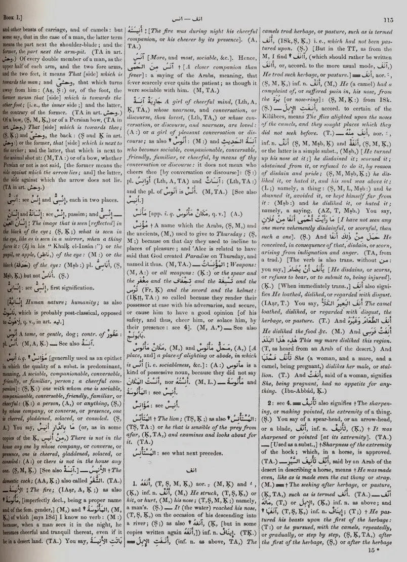 Arabic-English Lexicon: 2 Volumes Set By E. W. Lane