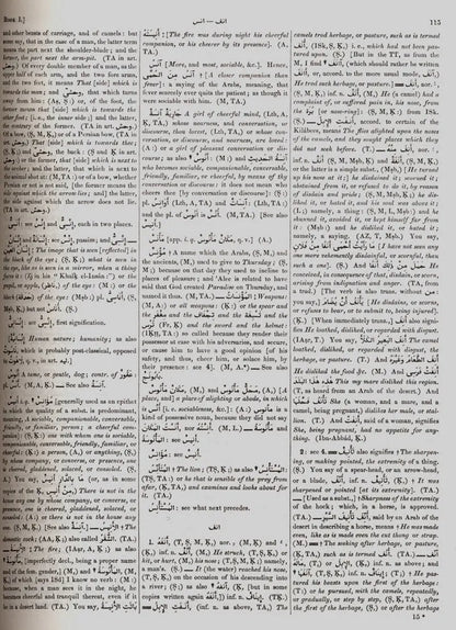 Arabic-English Lexicon: 2 Volumes Set By E. W. Lane