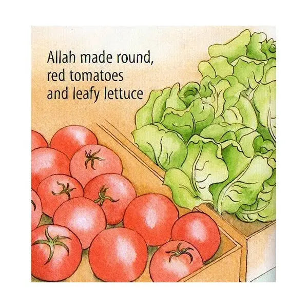 Food We Eat Kube Publishing