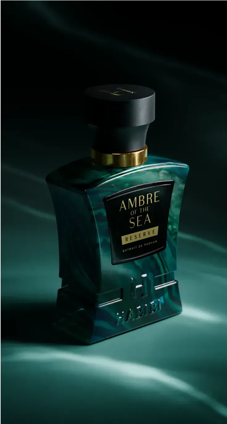 Ambre of the Sea book cover