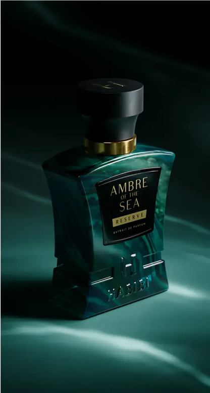 Ambre of the Sea book cover