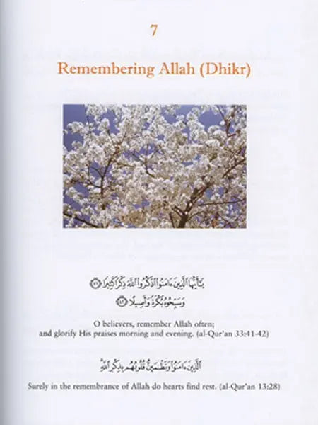 In the Prophet's Garden: A Selection of Ahadith for the Young