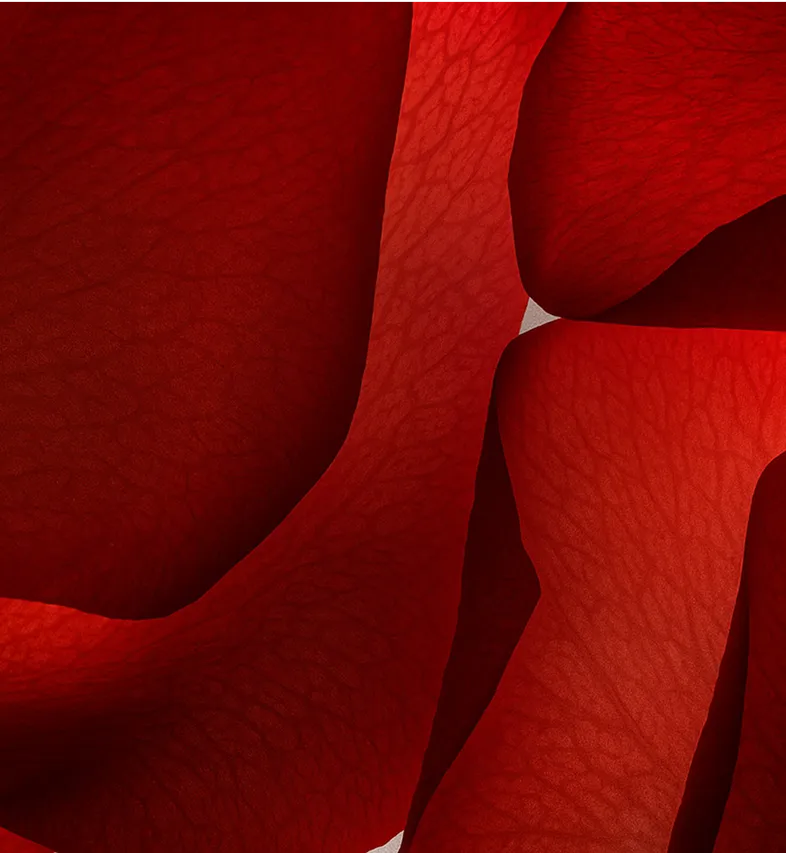 Sahara Rose 10ml