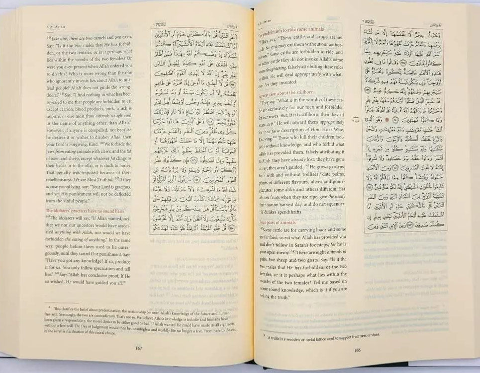 The Majestic Qur'an: A Plain English Translation (Uthmani Script)