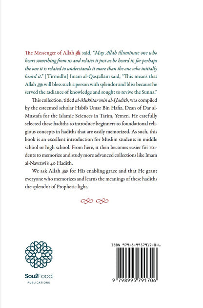 Prophetic Wisdom: Hadiths for Beginners back cover with publisher summary and ISBN