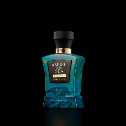 Ambre of the Sea book cover