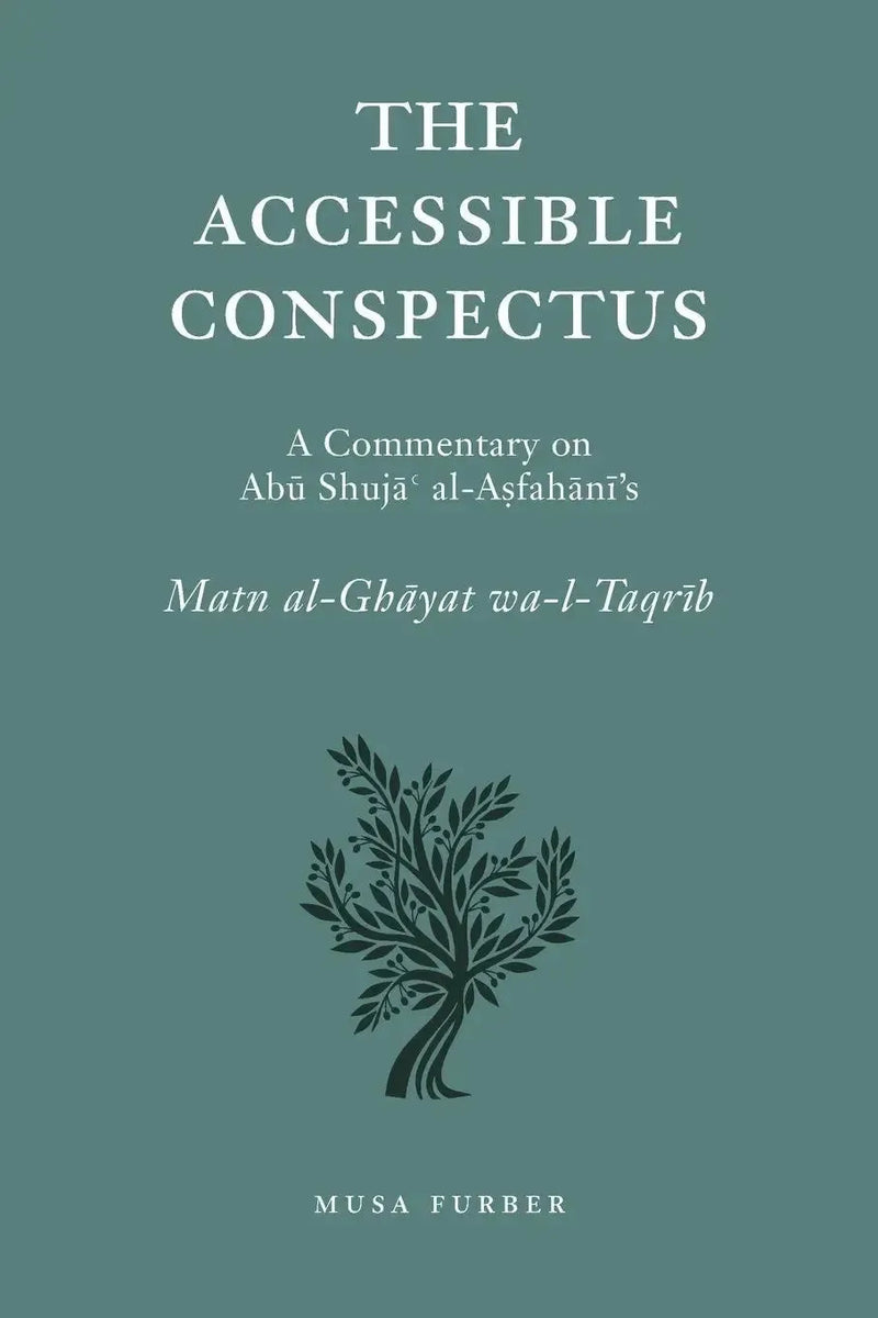 The Accessible Conspectus by Abu Shuja al-Isfahani book cover