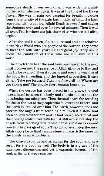 The Soul's Journey After Death: An Abridgement of Ibn Qayyim's Kitab ar-Ruh