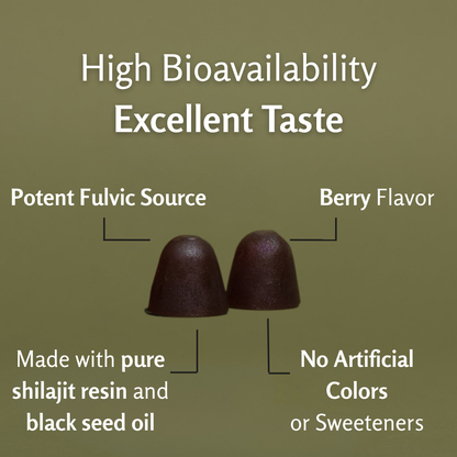 Shilajit Black Seed Oil Gummies