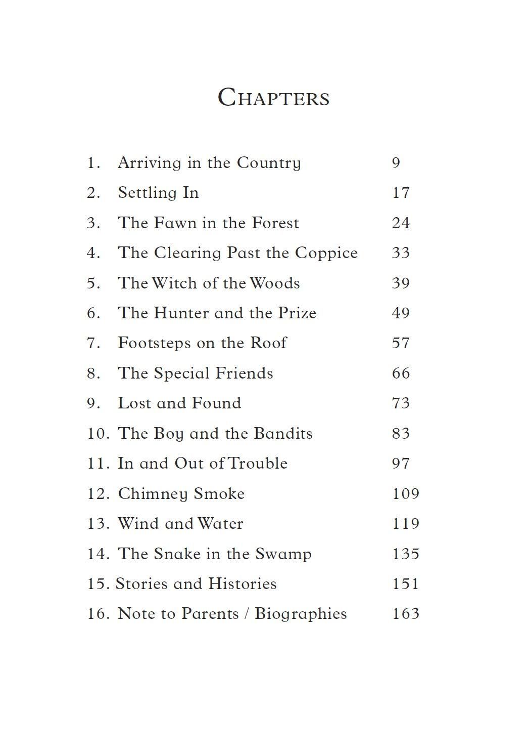 Beyond the Forest, Adventures with the Awliya Book 1