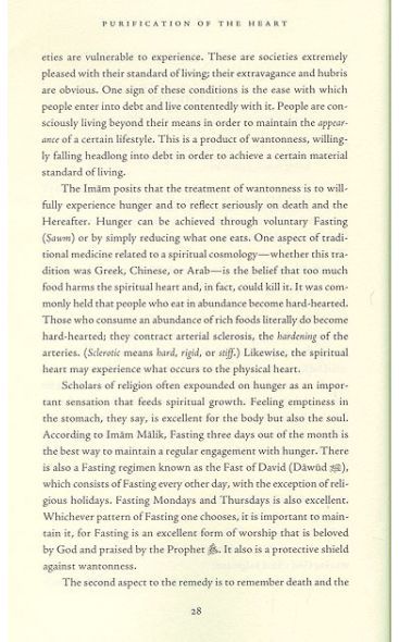 Purification of the Heart: Signs, Symptoms and Cures of the Spiritual Diseases of the Heart -**CLEARANCE**